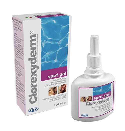 CLOREXYDERM SPOT GEL 100 ML 1 CLOREXYDERM SPOT GEL 100 ML
