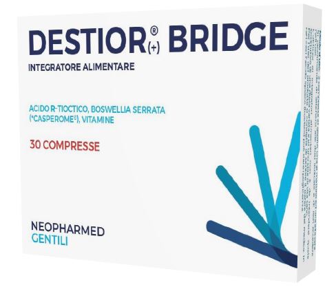 GetDoc 2044