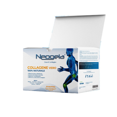 GetDoc 85